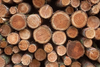 ES Padome atļāva Latvijai turpināt piemērot apgriezto PVN kokmateriālu piegādēm